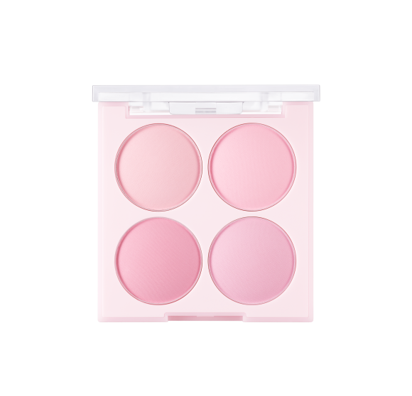 Палетка румян для&nbsp;лица DASIQUE Blending Mood Cheek (16.8г) | Ecoplace