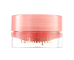 Блеск для&nbsp;губ DASIQUE Fruity Lip&nbsp;Jam (4г) | Ecoplace