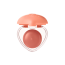 #1 Salmon Buff