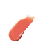 Глянцевая помада для&nbsp;губ DASIQUE Mood Glow Lipstick (3г) | Ecoplace