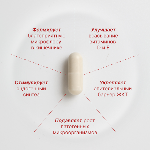 DENPS Probiotics Story (60e*170mg) | Ecoplace