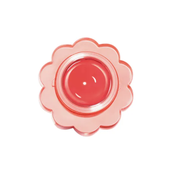 DASIQUE Chewing Glow Pot (4g) | Ecoplace